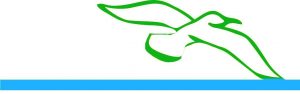logo del personal coach Marcella Offedo, disegno di un gabbiano, tratto verde